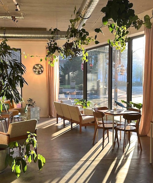 22 x Die besten Cafés ins Münster - Hier findet ihr richtig guten Kaffee